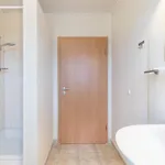 Unterm Dachläufer Og *
