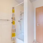 Unterm Dachläufer Og *